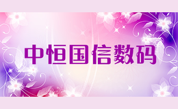 中恒國信數碼